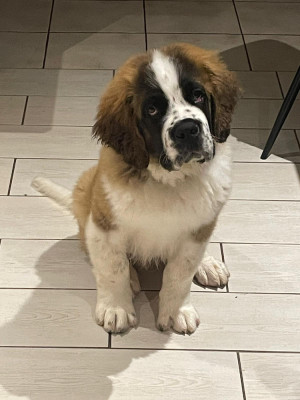 B'zeus
